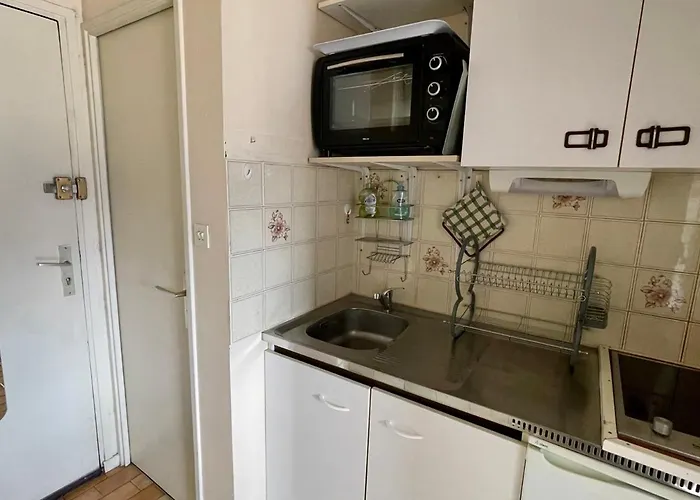 Joli Avec Vue Lac, Parking Et Proche Thermes Chevalley - Fr-1-555-97 公寓 艾克斯莱班