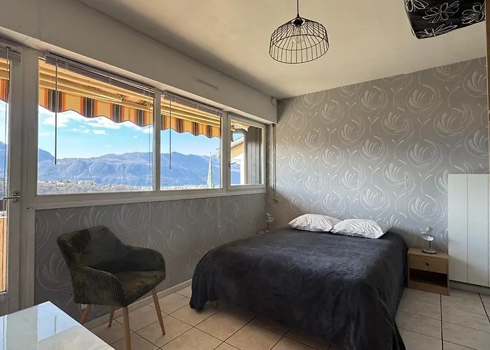 Joli Avec Vue Lac, Parking Et Proche Thermes Chevalley - Fr-1-555-97 公寓 艾克斯莱班